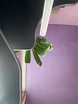 Snapshot of Soft_Pleasure chatting on 10-22-25, 10:59 Soft Pleasure online show from 10-22-25, 10:59