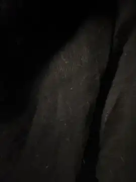 pikuslordpll online show from 12-23-25, 08:12