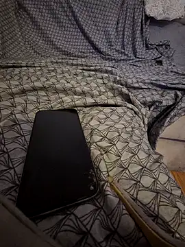 pikuslordpll online show from 04-26-26, 04:21