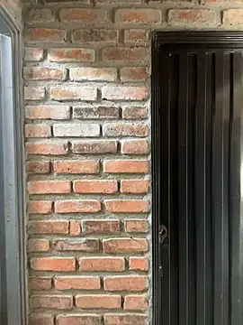 Snapshot of Jacksonfranco chatting on 11-19-25, 02:28 Jacksonfranco online show from 11-19-25, 02:28