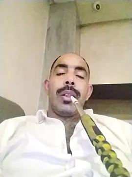 salimbasha online show from 11-29-25, 07:28