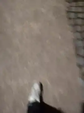 berto acierto98 online show from 03-12-26, 09:21