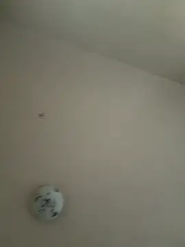 Snapshot of xotflzzz chatting on 12-16-25, 01:05 xotflzzz online show from 12-16-25, 01:05