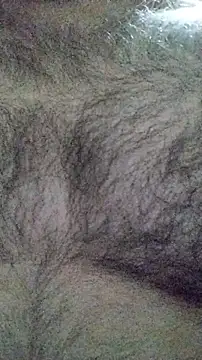 Snapshot of LeoMaduroSP chatting on 01-16-26, 07:45 LeoMaduroSP online show from 01-16-26, 07:45