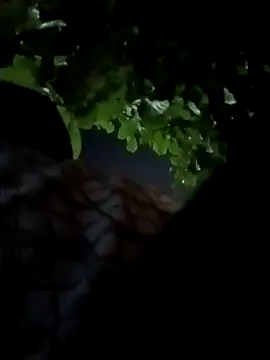 Rajopensex 955 online show from 03-21-26, 06:22