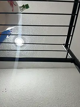 Nia Desire online show from 12-17-25, 05:24