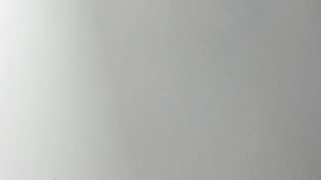 Lady miss    online show from 11-06-25, 12:17