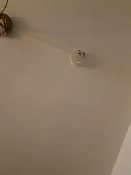 LightskinBumpa online show from 11-15-25, 02:09