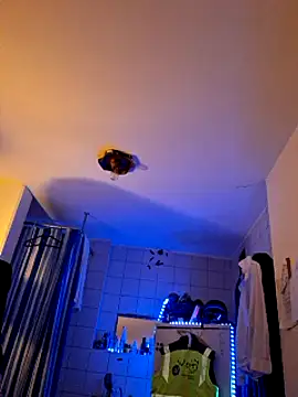 Snapshot of a7ex chatting on 12-15-24, 02:30 a7ex online show from 12-15-24, 02:30