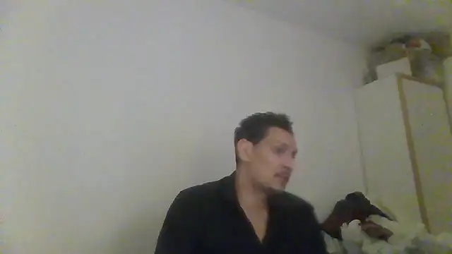 Snapshot of ARTANIS20 chatting on 05-29-26, 12:19 ARTANIS20 online show from 05-29-26, 12:19