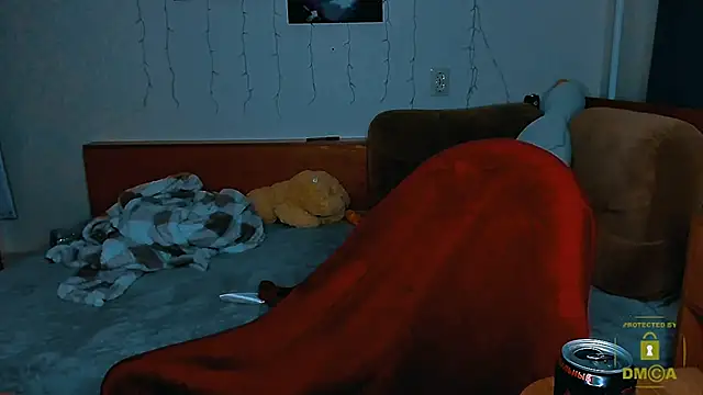 Snapshot of zaebali_ chatting on 10-12-25, 04:17 zaebali  online show from 10-12-25, 04:17