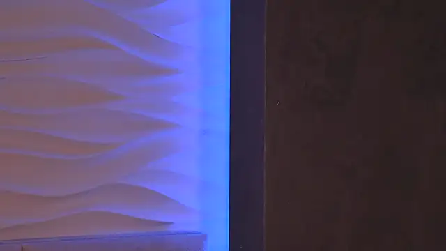 AriWild online show from 04-28-26, 04:50