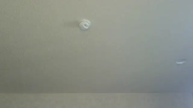 Snapshot of Flossee chatting on 04-11-26, 12:15 Flossee online show from 04-11-26, 12:15