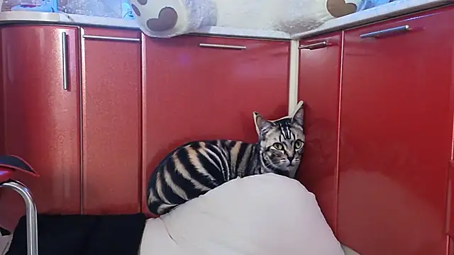 SquirtMilf00 online show from 04-09-26, 03:17