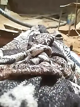 ParousFlow online show from 10-11-25, 11:03