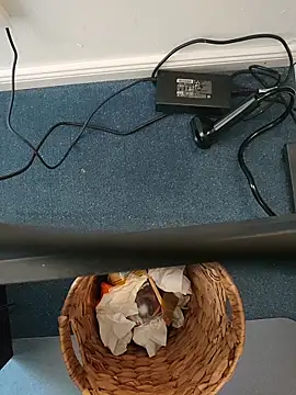 Snapshot of MyDick4You666 chatting on 03-05-26, 10:44 MyDick4You666 online show from 03-05-26, 10:44