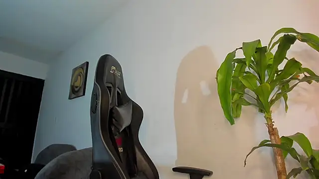 LoganTwink18 online show from 12-17-25, 09:26