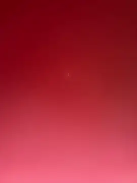 curis4270panda online show from 03-04-26, 12:00