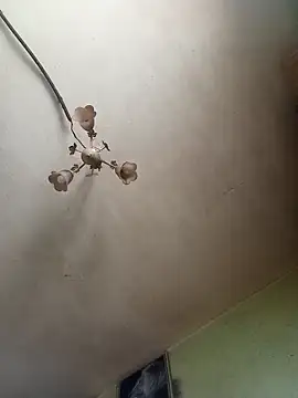 ToughDraft14 online show from 04-27-26, 05:16