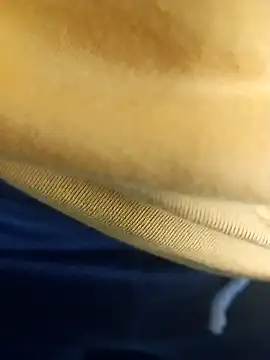 pauzudao 12 online show from 03-03-26, 09:31