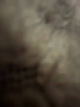 anonimgirl18old online show from 02-03-26, 08:58