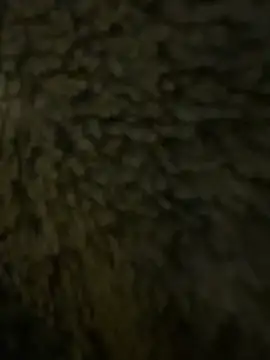 anonimgirl18old online show from 02-21-26, 06:31