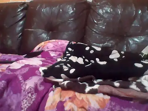 Snapshot of PREDADOR76 chatting on 10-10-25, 04:39 PREDADOR76 online show from 10-10-25, 04:39