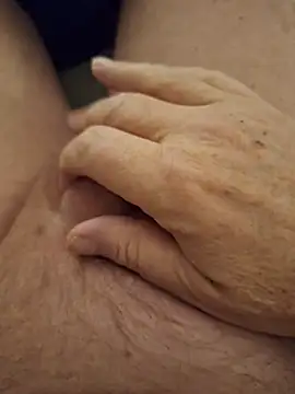 minnetird online show from 02-04-26, 06:41