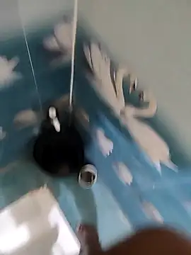 Snapshot of Telugu_person12 chatting on 11-12-25, 04:51 Telugu person12 online show from 11-12-25, 04:51