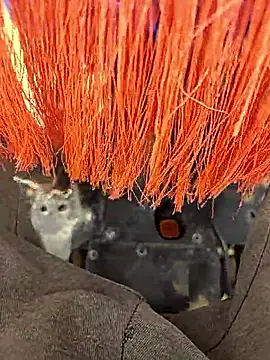 Snapshot of Telugu_person12 chatting on 01-12-26, 07:57 Telugu person12 online show from 01-12-26, 07:57