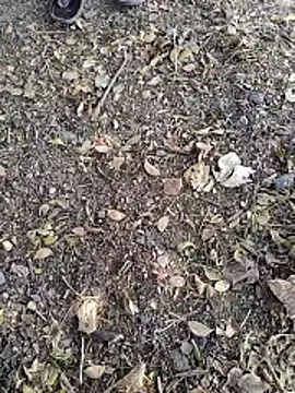 Snapshot of Telugu_person12 chatting on 01-14-26, 07:58 Telugu person12 online show from 01-14-26, 07:58