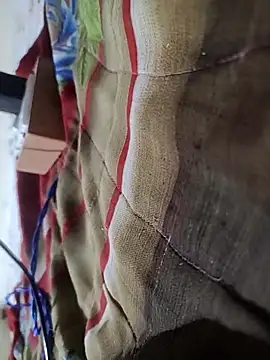 Snapshot of Telugu_person12 chatting on 02-16-26, 09:00 Telugu person12 online show from 02-16-26, 09:00