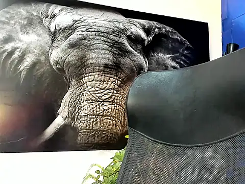 king falconer online show from 11-24-25, 01:38