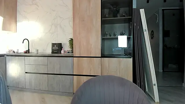 synop sis online show from 02-23-26, 02:31