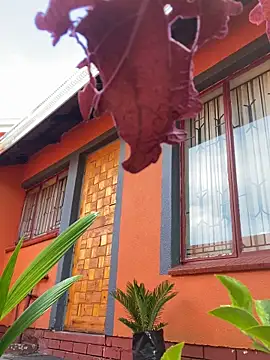 BaggyDirt online show from 02-24-26, 06:44