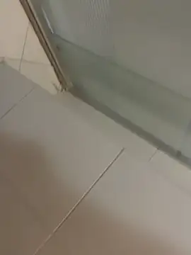 Mbidee online show from 03-08-26, 05:28