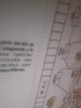 bocadepecado online show from 09-30-25, 08:25