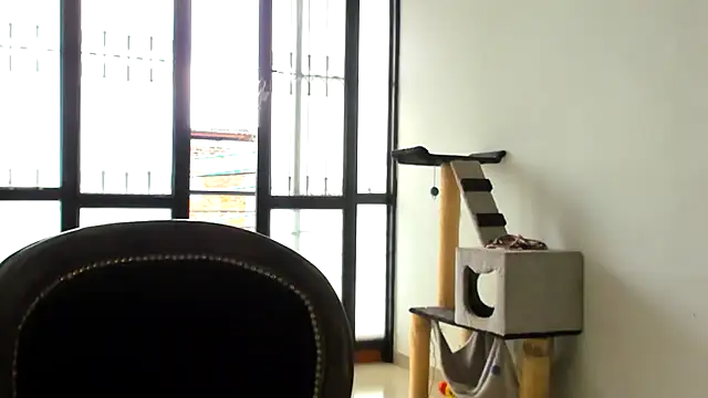 Snapshot of ADHARAMILLER__1111 chatting on 11-23-25, 02:28 ADHARAMILLER 1111 online show from 11-23-25, 02:28