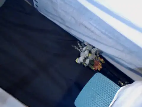 Snapshot of xyourdreamtrans chatting on 09-24-25, 09:34 xyourdreamtrans online show from 09-24-25, 09:34