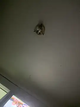 Isabelaa  online show from 03-28-26, 03:28