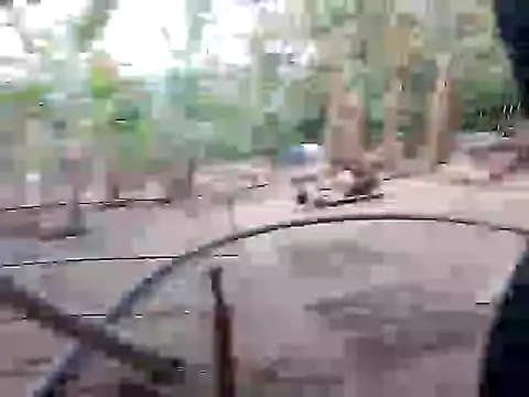 BigBoobs186 online show from 11-10-25, 10:03