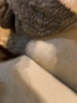 boy8540 online show from 01-19-26, 05:44