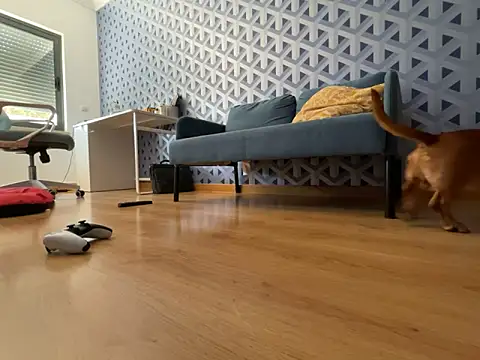 Snapshot of cumman789860 chatting on 10-02-25, 02:35 cumman789860 online show from 10-02-25, 02:35