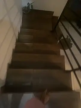 pretalst online show from 11-19-25, 07:52