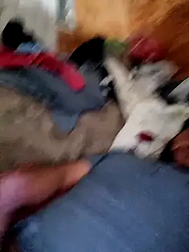 alber907 online show from 02-04-26, 12:33