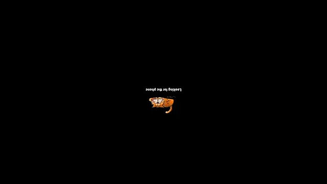 pecsblack888 online show from 09-29-25, 06:46