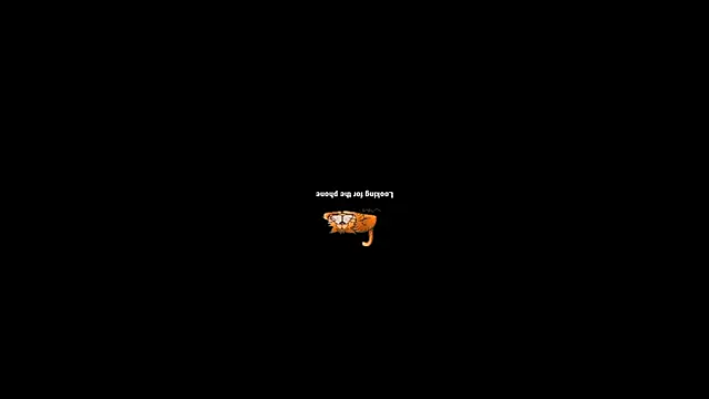 pecsblack888 online show from 10-02-25, 06:26