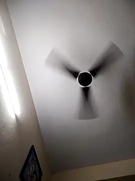 Devi-with-Ram online show from 11-29-25, 02:42