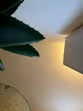 Michel huge online show from 01-12-26, 06:51