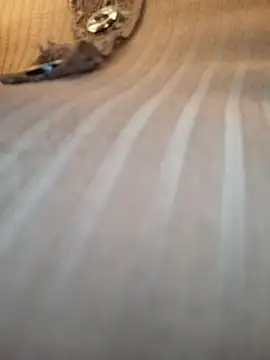 Sandiq99six online show from 11-07-25, 11:05